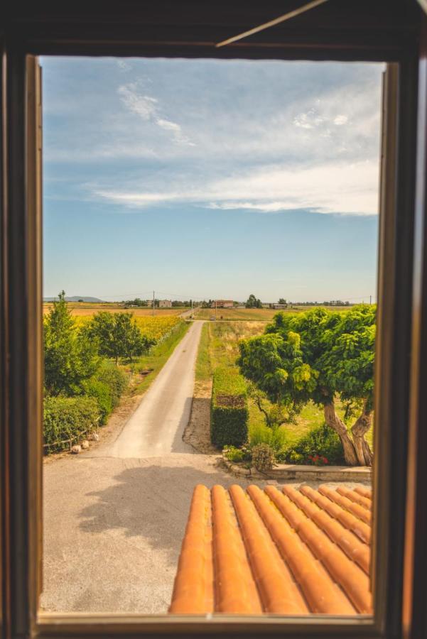 Agriturismo Corte Degli Angeli Marina di Grosseto Exterior foto