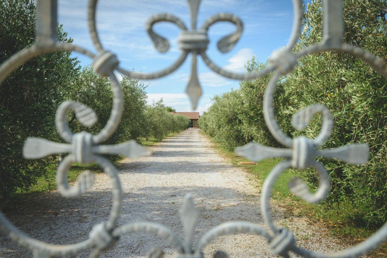 Agriturismo Corte Degli Angeli Marina di Grosseto Exterior foto