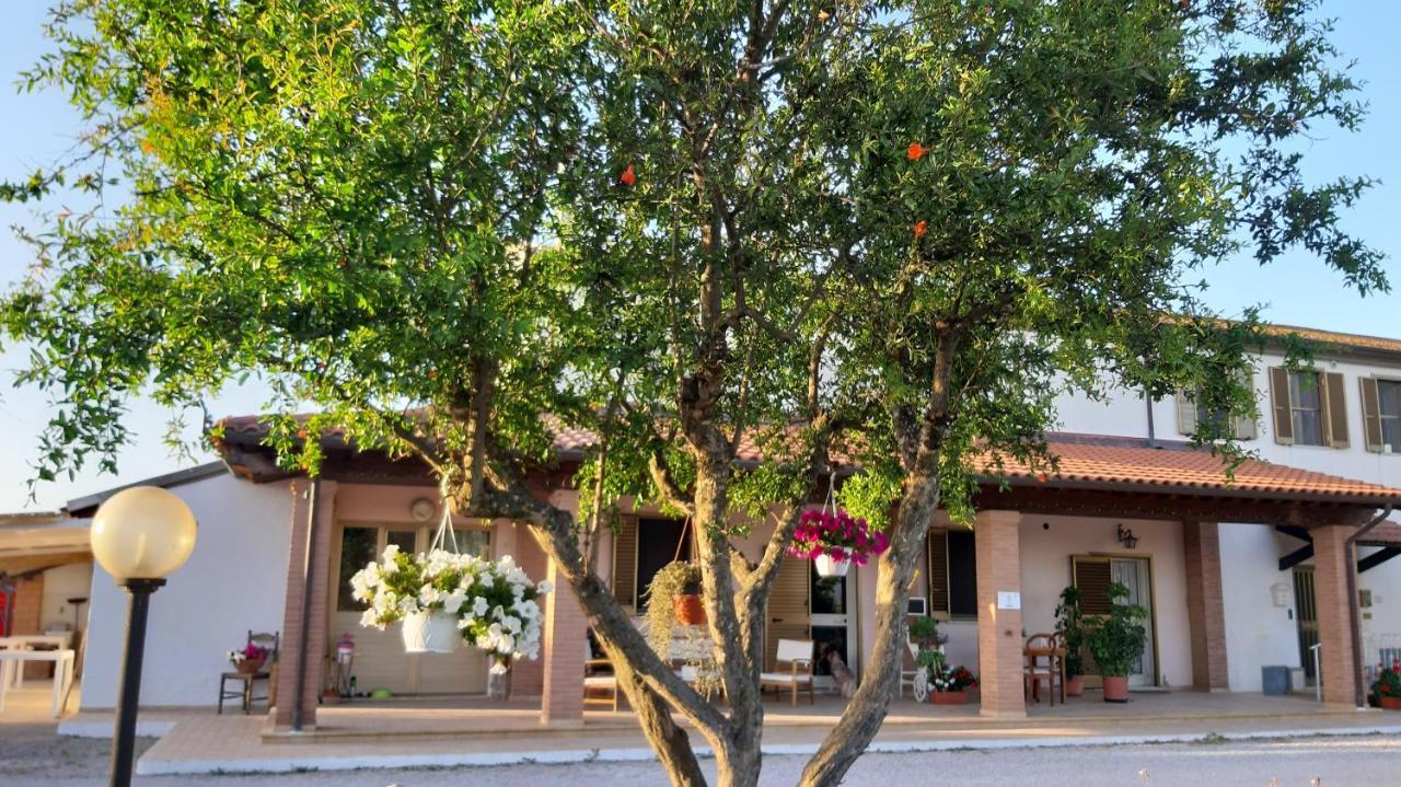 Agriturismo Corte Degli Angeli Marina di Grosseto Exterior foto