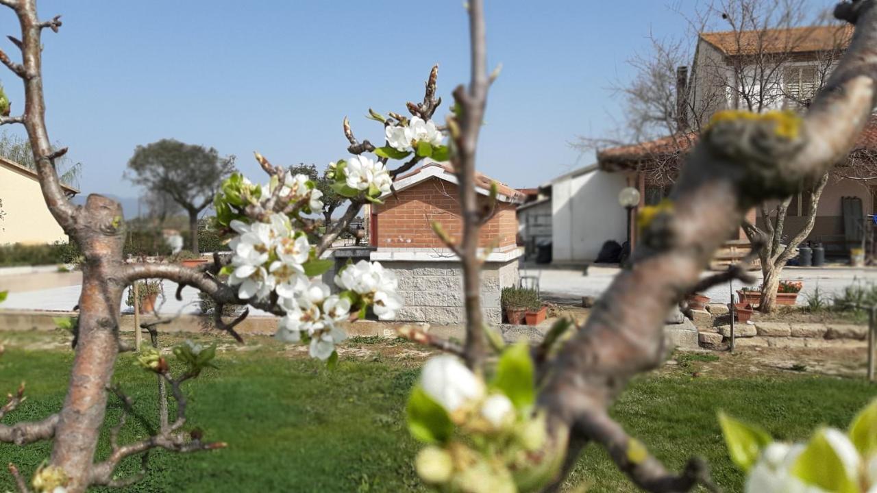 Agriturismo Corte Degli Angeli Marina di Grosseto Exterior foto