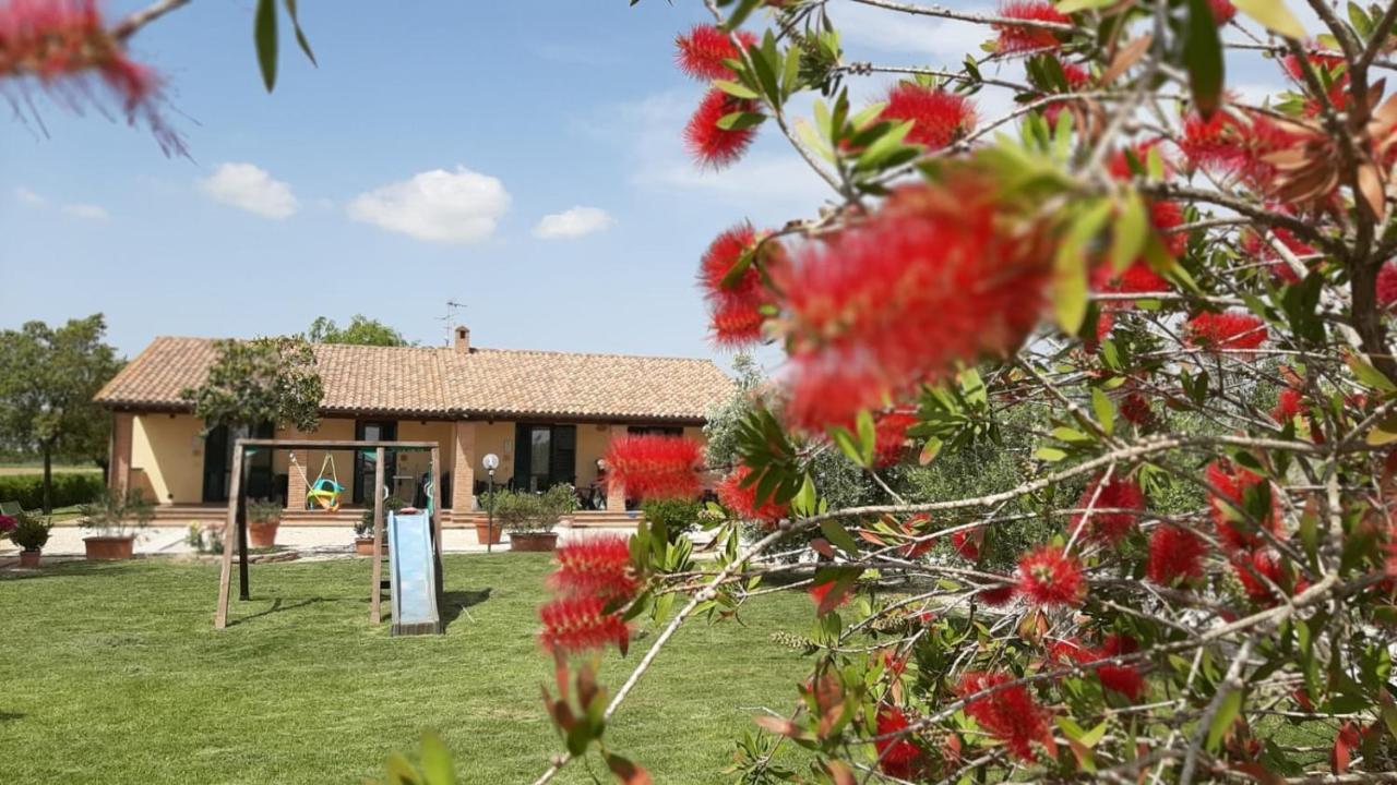 Agriturismo Corte Degli Angeli Marina di Grosseto Exterior foto