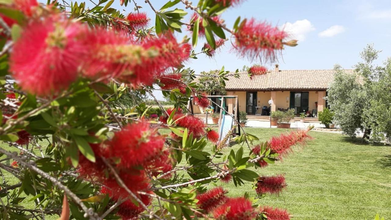 Agriturismo Corte Degli Angeli Marina di Grosseto Exterior foto