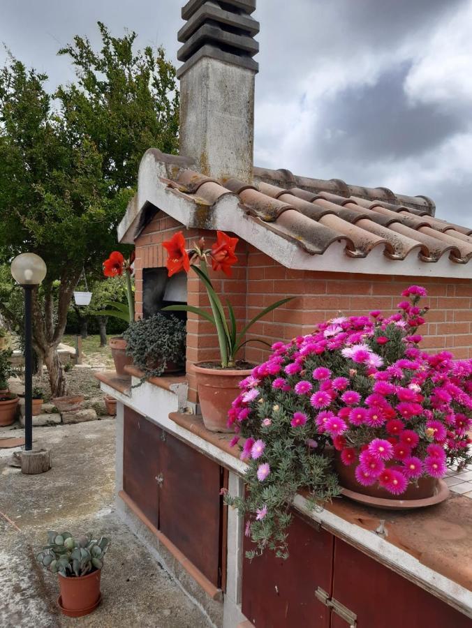 Agriturismo Corte Degli Angeli Marina di Grosseto Exterior foto